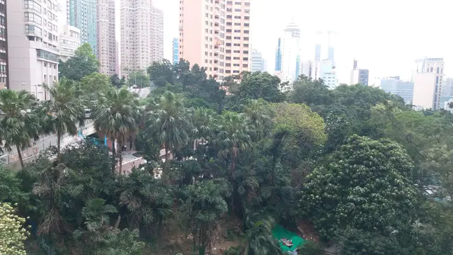 外望公園景，好舒服