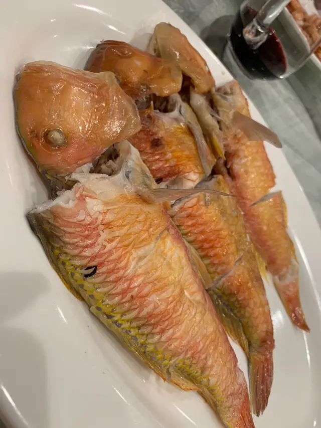 鸚哥魚