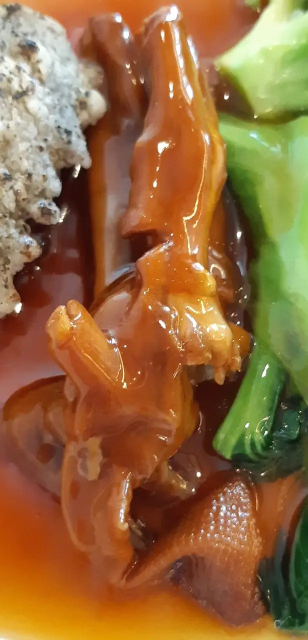 脆皮遼參鵝掌伴三色菜