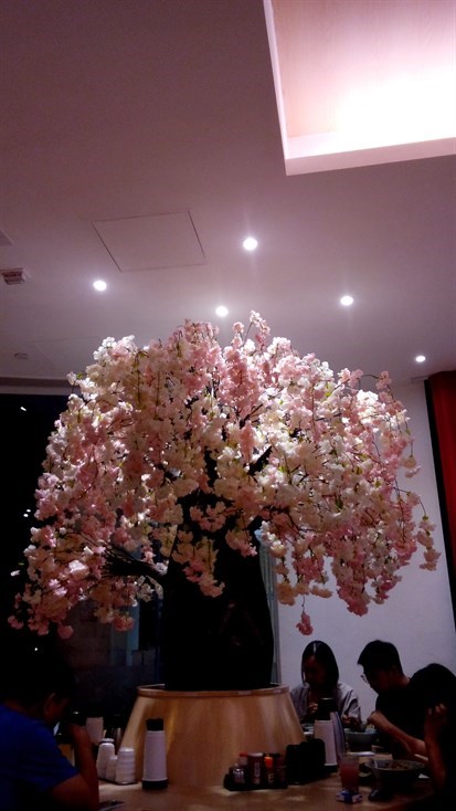 漂亮的櫻花樹
在圓桌中間