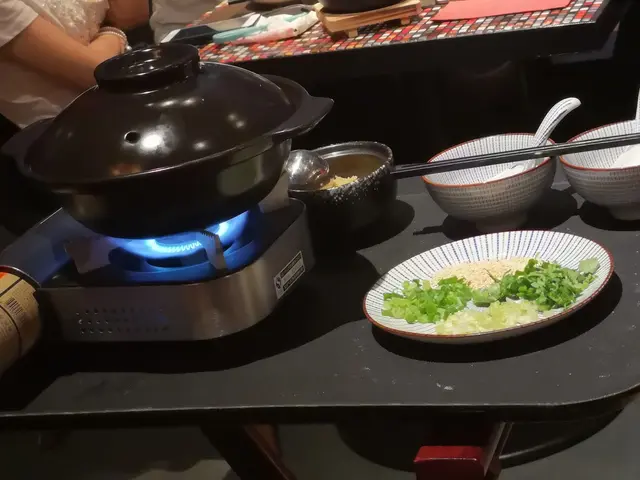 濃湯鴨絲泡飯
