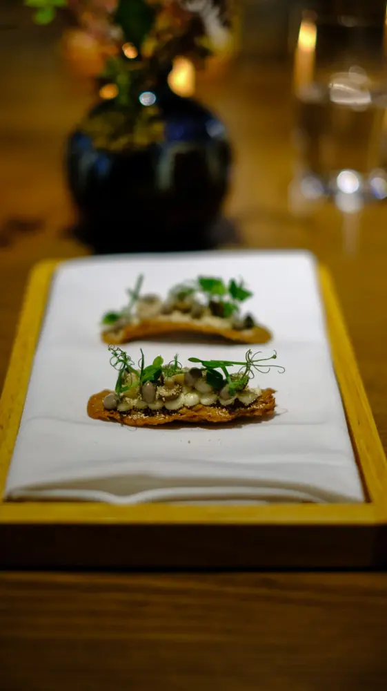 Wafer。Fermented Mushroom Puree。Yeast