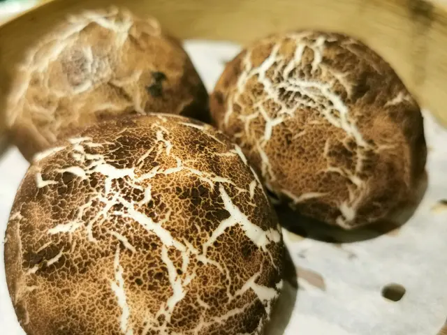 松露香菇包