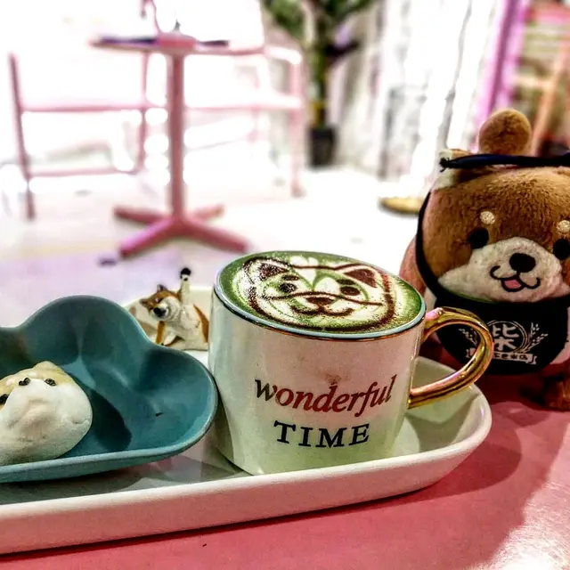 柴犬抹茶Shiba Inu Matcha