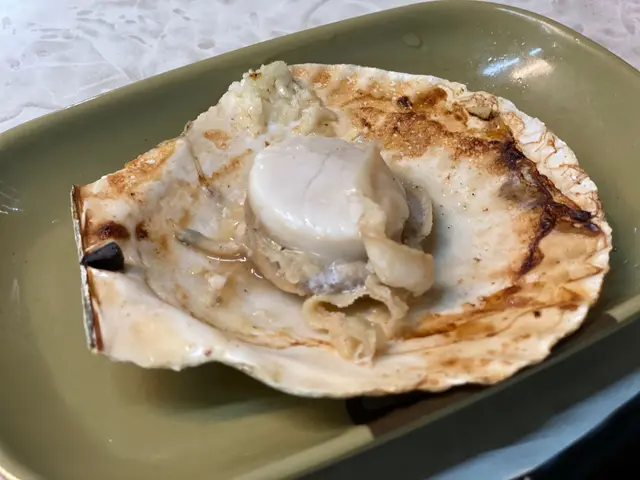 扇貝
