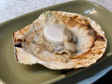 扇貝