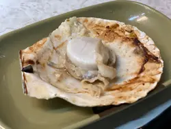 扇貝