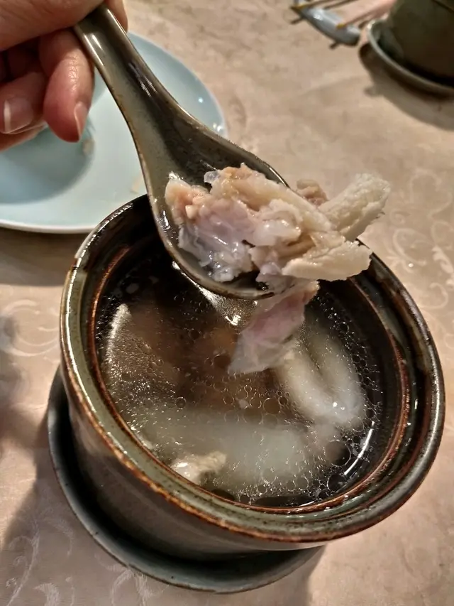 原盅燉陳皮海底椰鱷魚肉湯