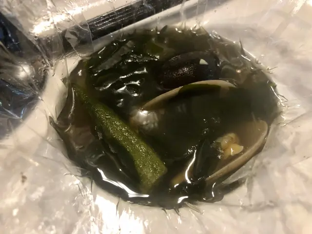 S2特色紙包花膠蜆湯