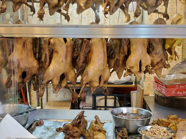 鹵水鵝