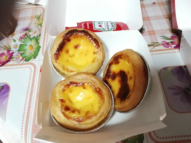 依賴出色的葡撻