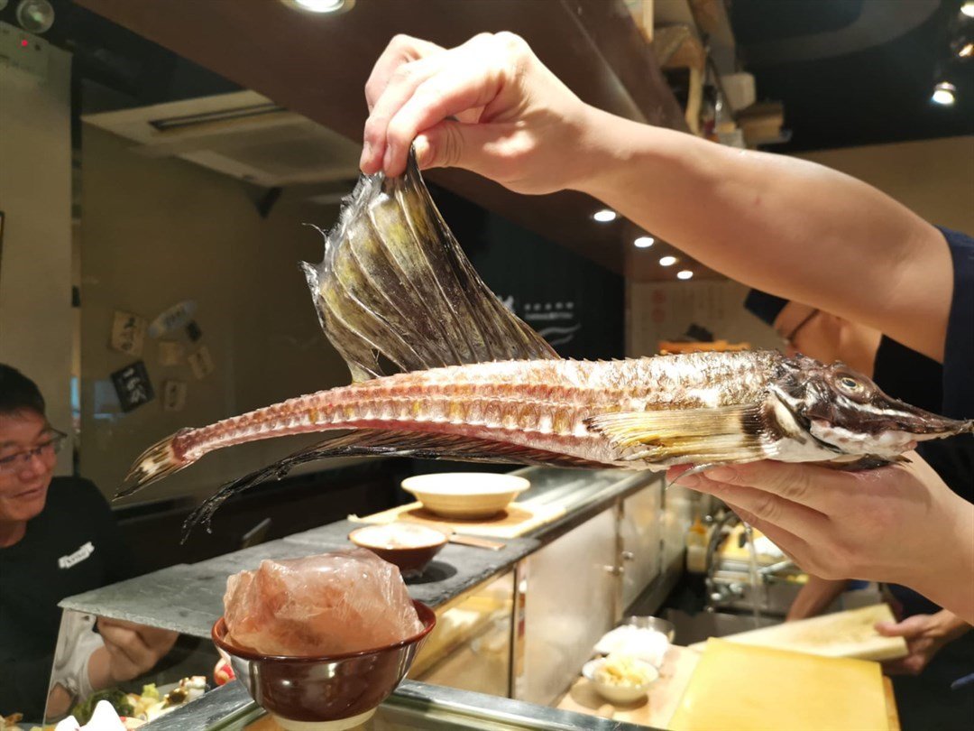 八角魚 香港天后的榤日本料理 Openrice 香港開飯喇