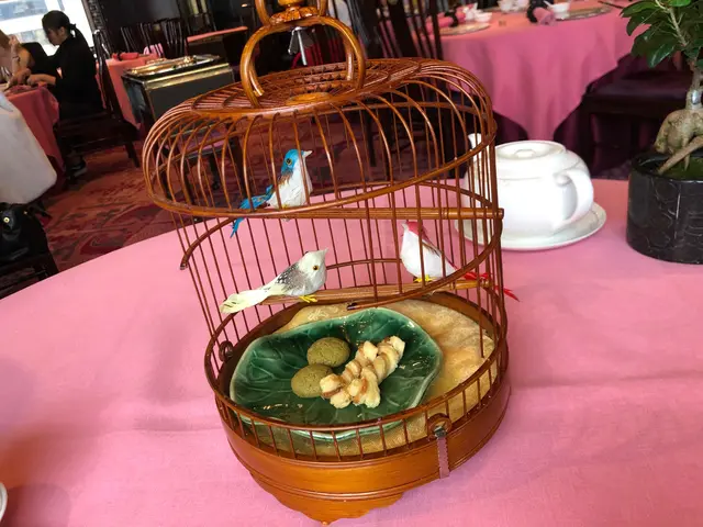 送的美點