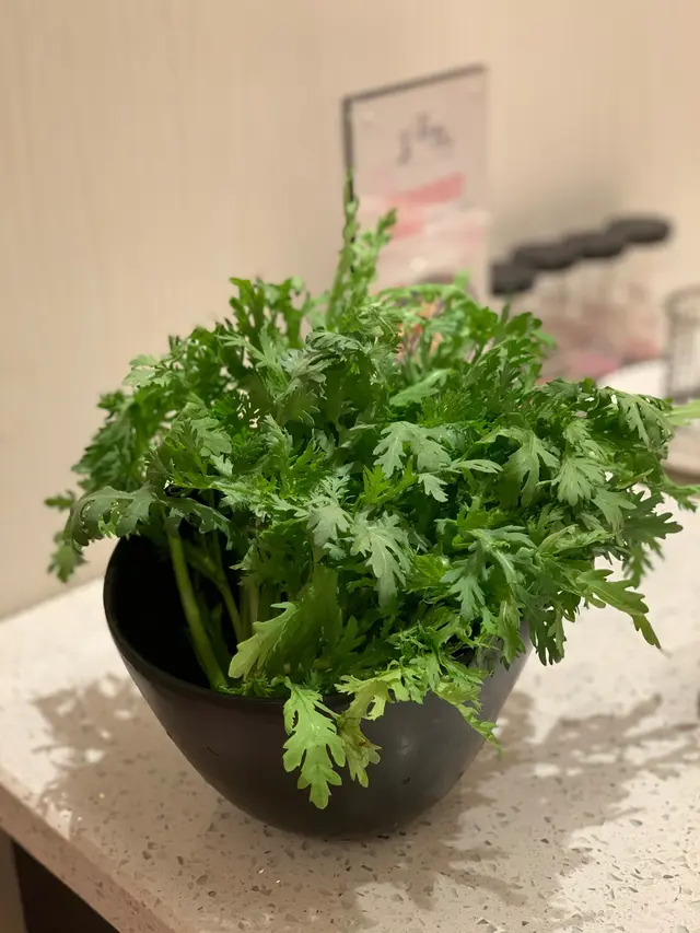 半份菜嘅份量都算合理,都幾新鮮。