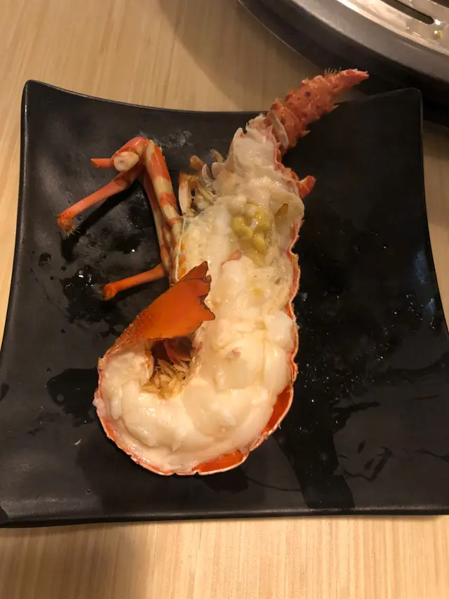 澳洲青年龍蝦