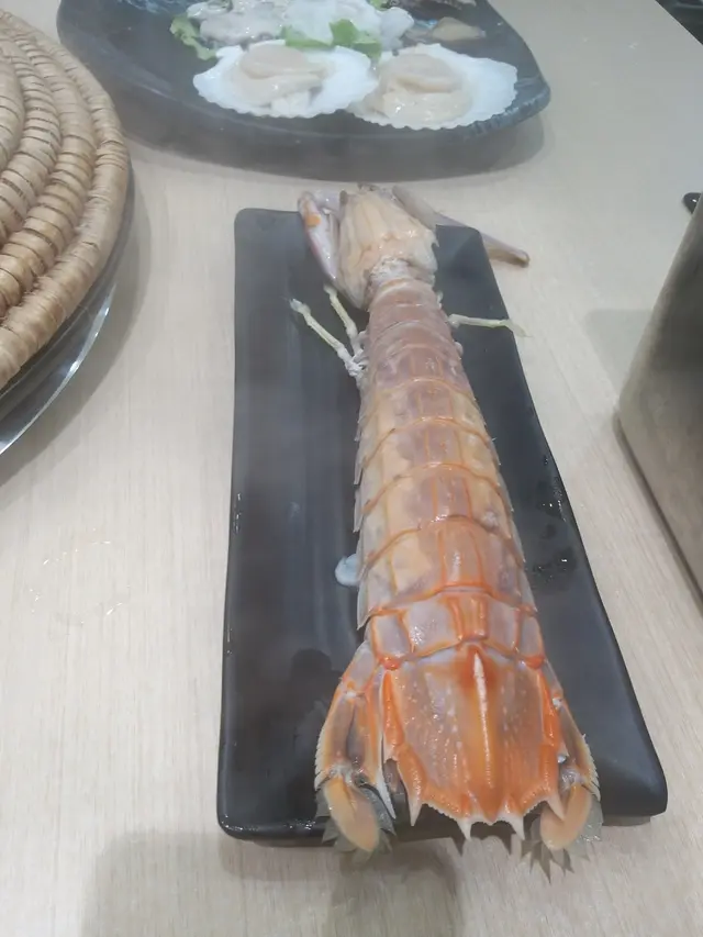 野生大瀨尿蝦