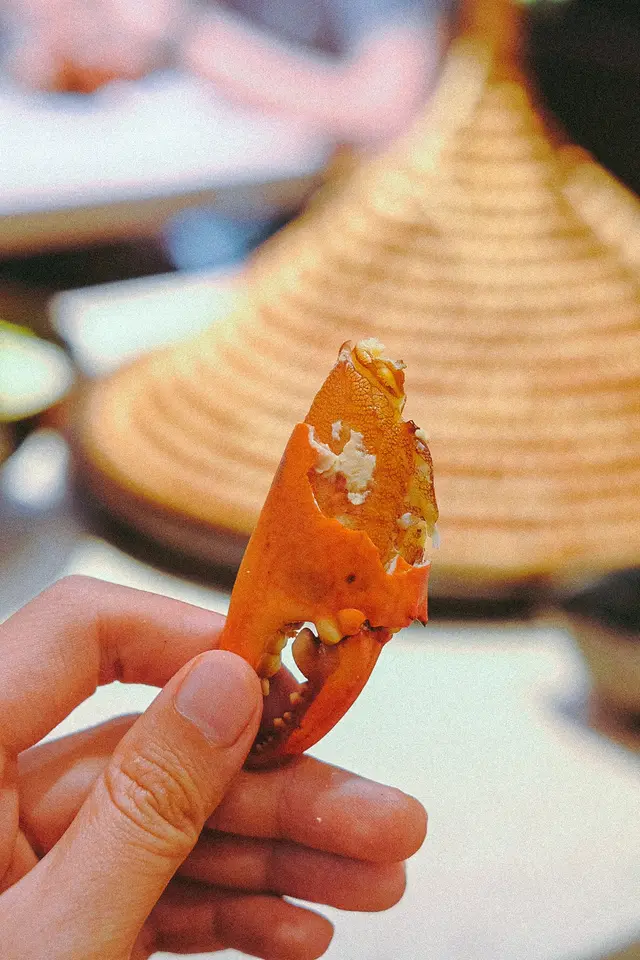 越南頂角膏蟹