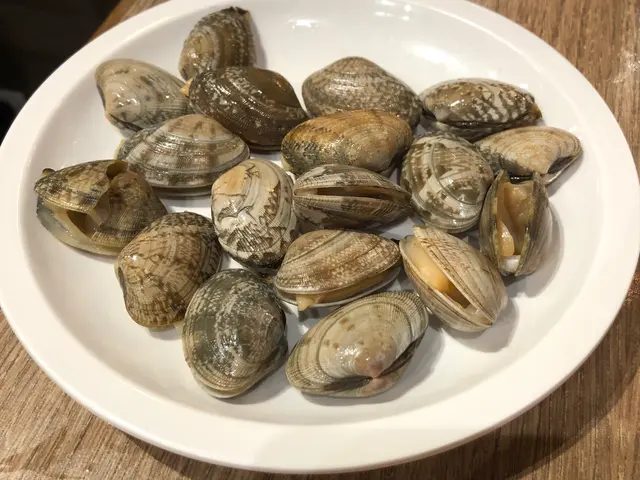 花甲