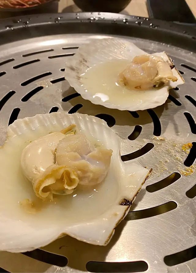 日本大元貝