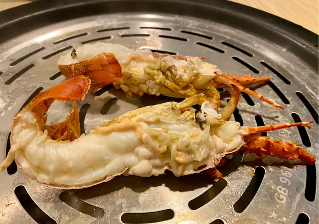 澳洲青年龍蝦
