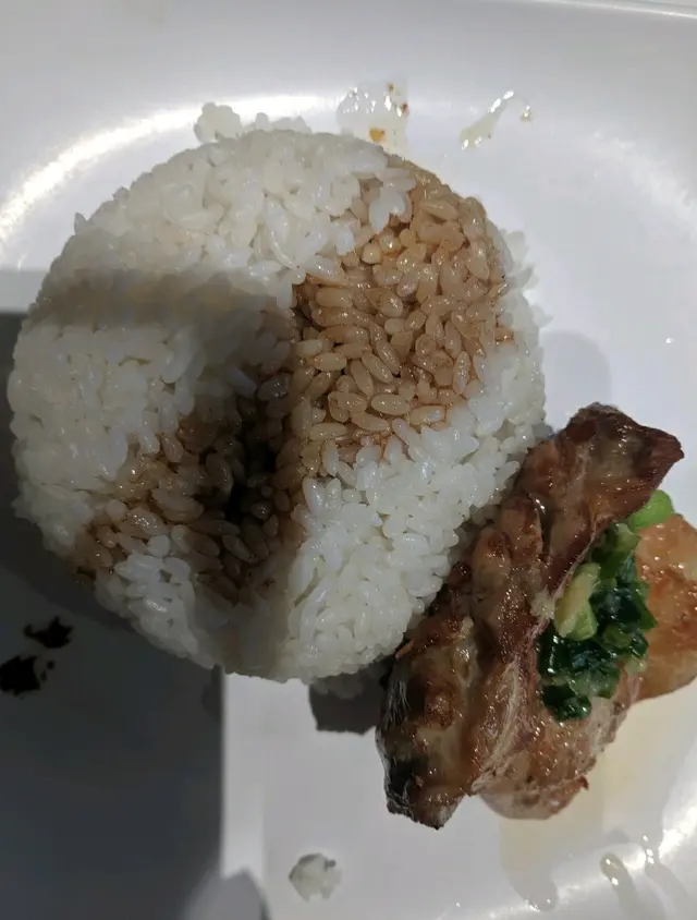 生雞扒飯