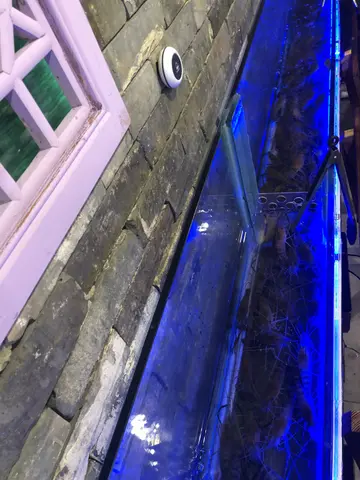 流水虾