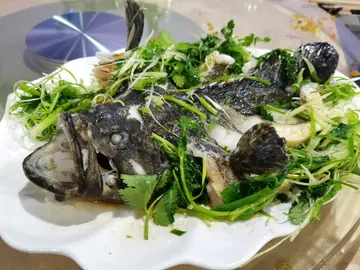清蒸海斑