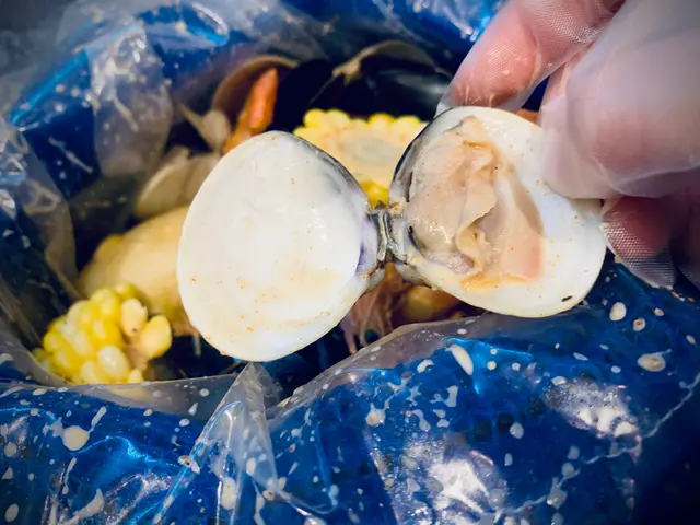 shake  shake海鮮袋