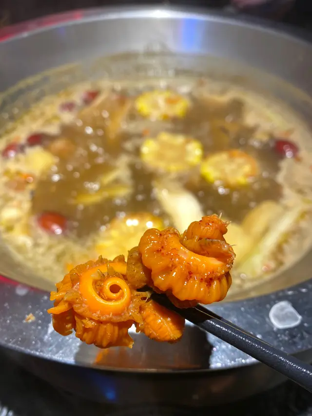 珊瑚蚌