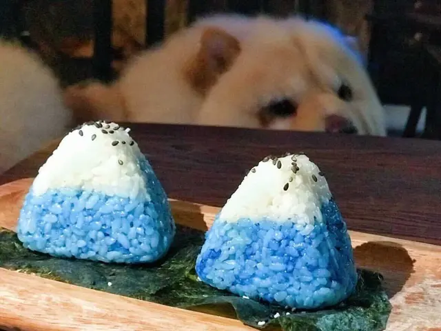 虎視眈眈嘅狗店長望住天藍富士山御結