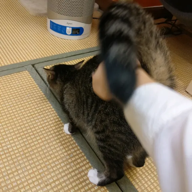 😻拍屁屁拍得幾開心 (我呀)