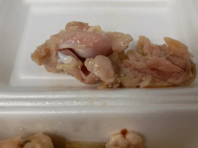 鷄扎未熟