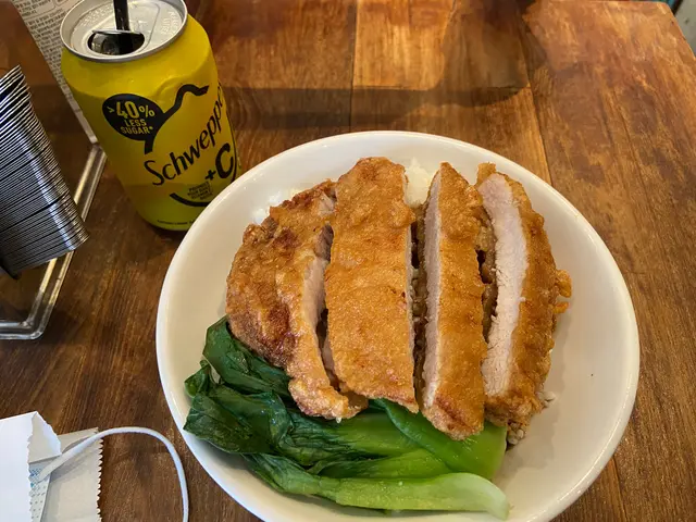 秘製豬扒飯（肉燥汁）