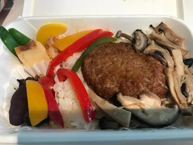 日式漢堡扒便當