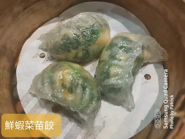 鲜虾菜苗饺