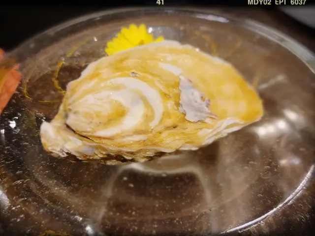 長崎縣小長井華漣蠔