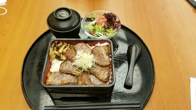 特選宮崎和牛飯