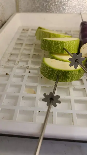 盛器发霉