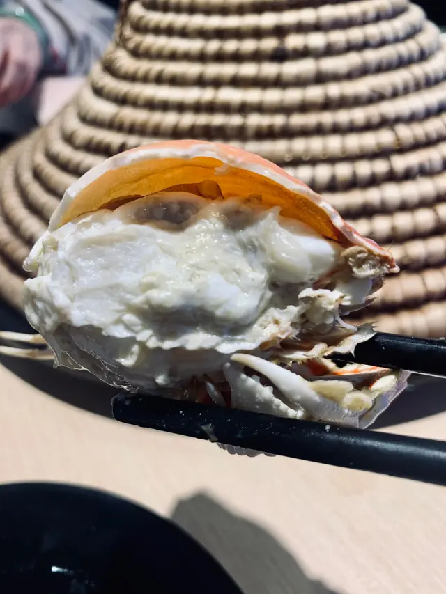 太平洋饅頭蟹