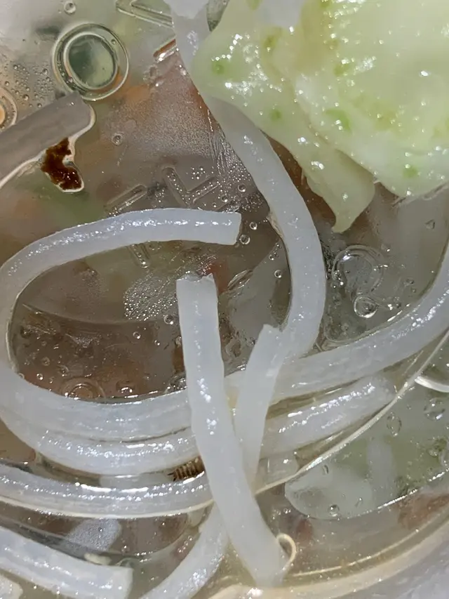 有蟲🐛🐛🐛