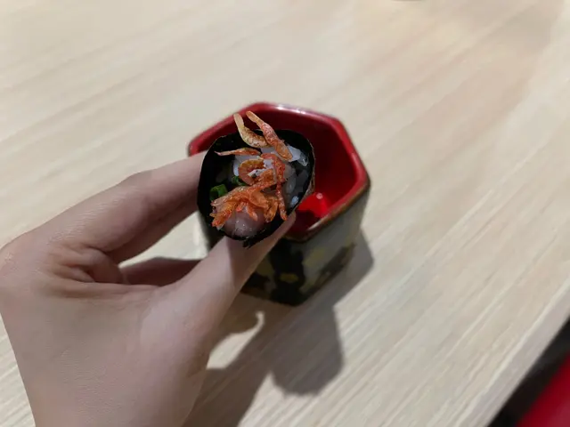 櫻花蝦香蔥吞拿魚腩手卷