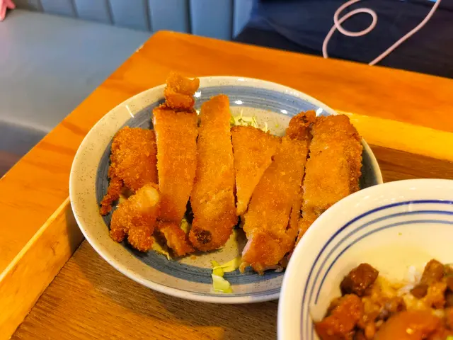 酥炸排骨滷肉飯