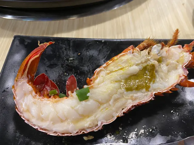 澳洲青年龍蝦