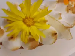 食用花