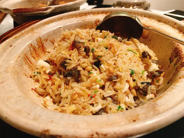 窩燒滋補竹絲雞炒飯