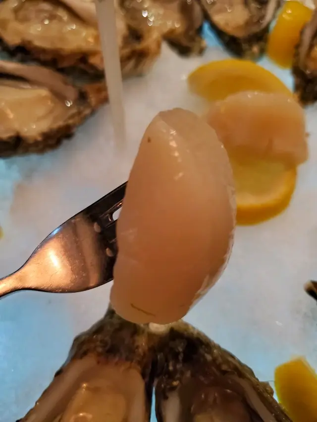北海道帶子