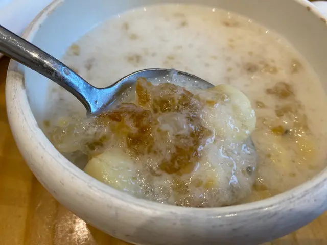 雪燕桃膠百蓮燉梛汁