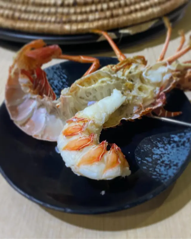 澳洲青年龍蝦