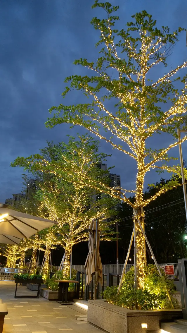 室外用餐區,環境優美,舒服自然