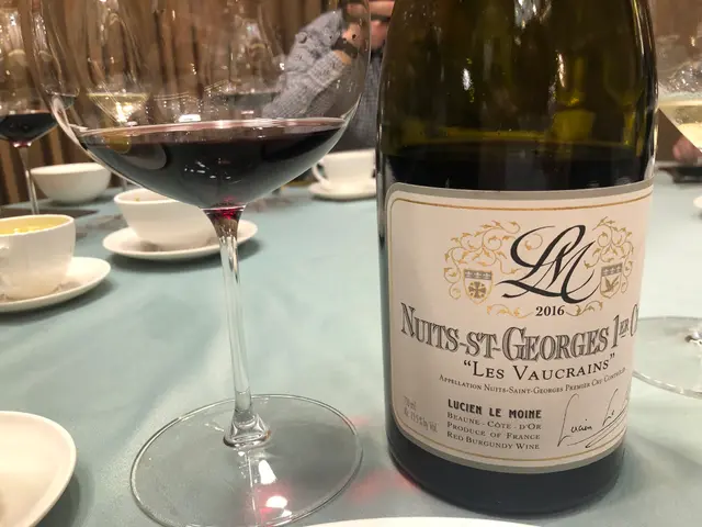 ucien le moine nuit Saint George 1er Cru les Vaucrains 2016